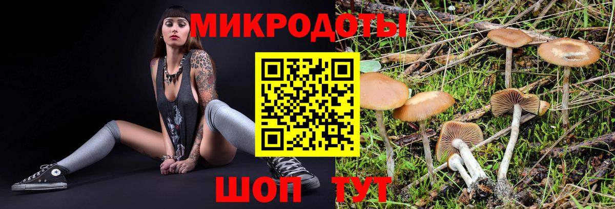 Псилоцибиновые грибы ЛСД  Псилоцибиновые грибы MAGIC MUSHROOMS  Верхний Уфалей  Вход с VPN 